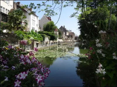 Dôle, petite ville de 24000 habitants, a aujourd'hui un attrait supplémentaire pour le tourisme, après les magnifiques bâtiments de la vieille ville, il y a maintenant...