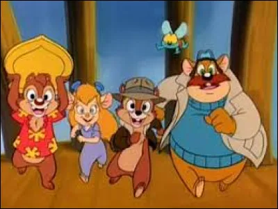 Complétez le titre de ce dessin animé : Tic et Tac, les ...