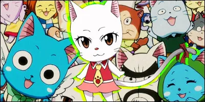 Il y a un nouvel Exceed en ville !