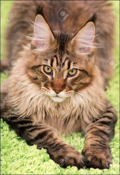 Quelle est son espérance de vie ?