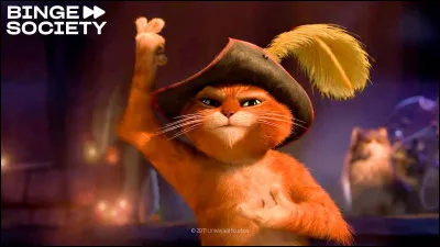 Si tu as choisi 2 chats, quelle relation veux-tu qu’il y ait entre eux ?