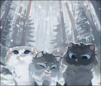 Lequel préfères-tu ? (2/3)