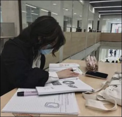 Viens-tu souvent en cours ?