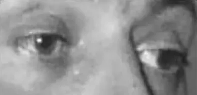 Ce regard ne passe pas inaperçu dans un de ces films. Dans lequel l'avez-vous aperçu ?