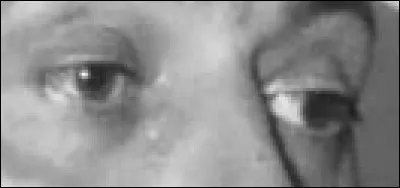 Ce regard ne passe pas inaper&ccedil;u dans un de ces films. Dans lequel l'avez-vous aper&ccedil;u ?