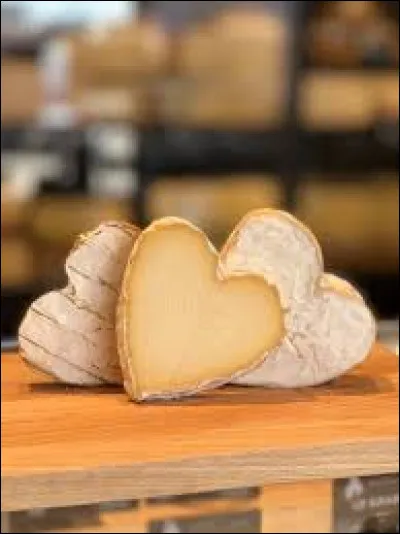 Dans quel département se situe la ville de Neufchâtel-en-Bray ?