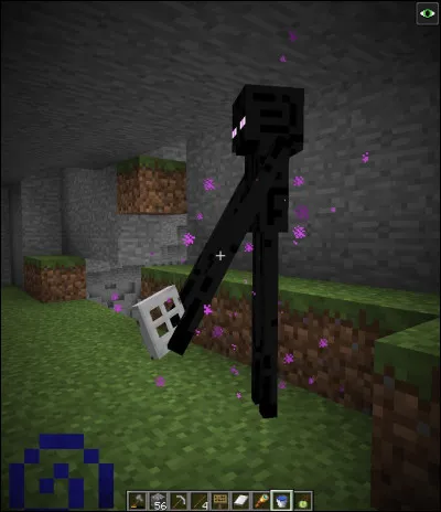 Dans "Minecraft", combien de blocs de hauteur peut atteindre un Enderman ?