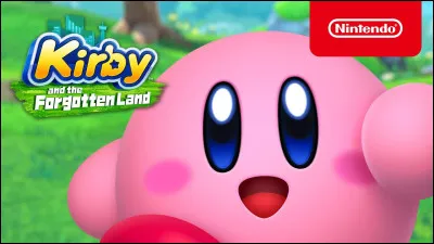 Dans la série "Kirby", quel est le nom du méchant emblématique qui ressemble à un pingouin et manie un énorme marteau ?