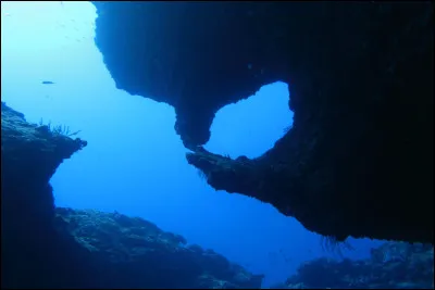 De quelle couleur l'océan apparaît-il en profondeur ?