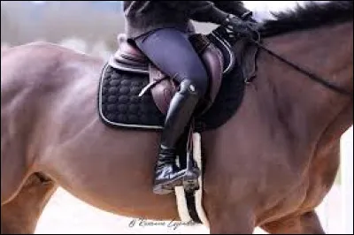 LES TROIS OSSELETS - Cet osselet assure la communication entre l'oreille moyenne et l'oreille interne : il s'agit :