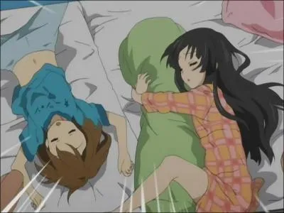 Dans quel anime trouve-t-on ces jeunes filles ?