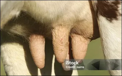 N'est jamais heureux, même quand il est amoureux, c'est le...