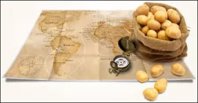 Qui a importé la pomme de terre en France ?