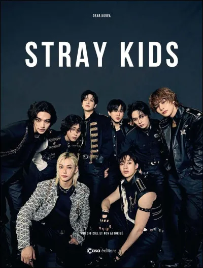 Quel membre de Stray Kids est le plus âgé ?