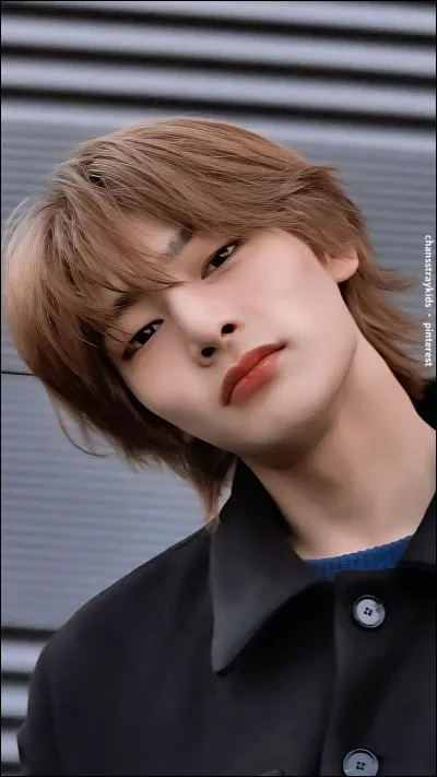Qui est le maknae (plus jeune) de Stray Kids ?