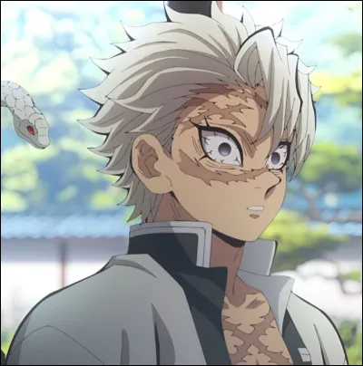 Quelle image ne représente pas Sanemi Shinazugawa ?