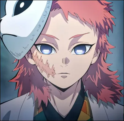 Quelle image ne représente pas Sabito ?