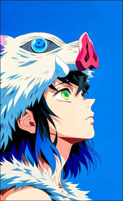 Quelle image ne représente pas Inosuke Hashibira ?