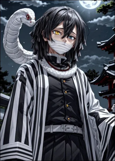 Quelle image ne représente pas Obanai Iguro ?