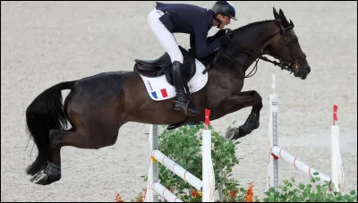 Lequel de ces chevaux est palomino ?