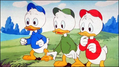 Comment s�appellent les trois neveux de Donald ?