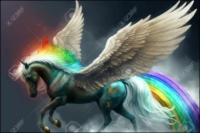 Quelle est ta couleur préférée ?