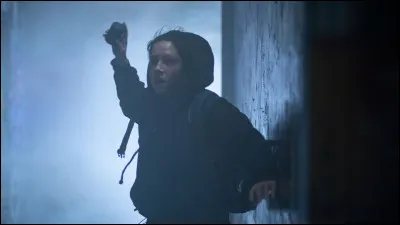 Quel est ce film d'Aude Léa Rapin où Exarchopoulos joue Julia Bombarth ?