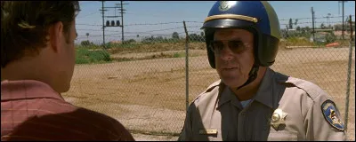 Comment s'intitule ce film réalisé par Jonathan Dayton et Valerie Faris, avec Norris dans le rôle de l'agent McCleary ?