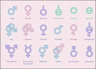 Quelle est ton orientation sexuelle ?