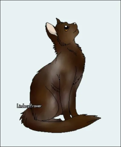 De quelle couleur sont les yeux d'Aile de Colombe ?