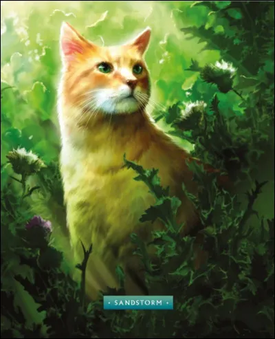 Quel est le nom d'apprentie de Temp&ecirc;te de Sable ?