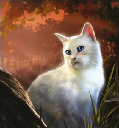 Qui est l'apprentie de Chardon Rouge ?