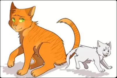 Nuage Cendr&eacute; est-il un m&acirc;le ou une femelle ? Et C�ur de Feu ?