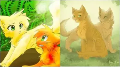 Qui est la compagne de C�ur de Feu ? (pas son 1er crush)