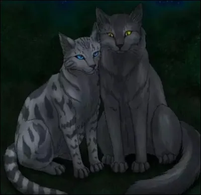 Entre Millie, Rivi&egrave;re d'Argent et Rivi&egrave;re d'Or, dans quel ordre Plume Grise les a-t-il eues ?