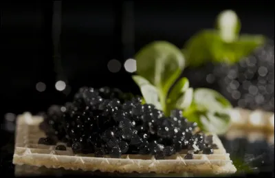 De quel poisson est issu le caviar ?