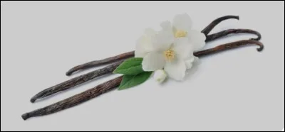 Quelle gousse de vanille est la plus rare ?