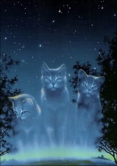 Et enfin tu dois lui transmettre une de ses neuf vies, tu choisis de lui dire :