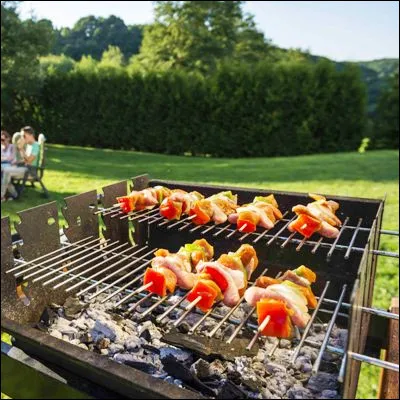 Quel ustensile de cuisine, qui aurait &eacute;t&eacute; invent&eacute; par les Espagnols au XIXe si&egrave;cle pour les grandes f&ecirc;tes, fait concurrence au barbecue ?