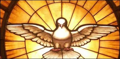 Pour que le sapin devienne un tissu, il faut changer le...