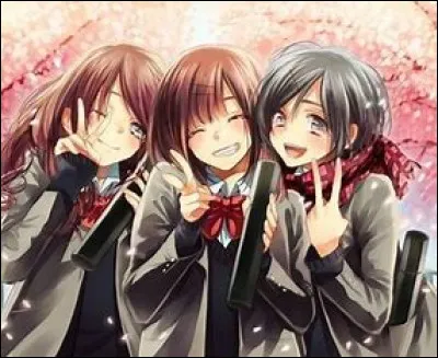 Combien d'ami(e)s as-tu ?