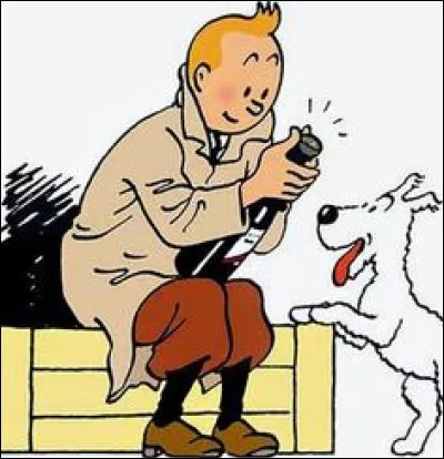 Quelle est la première aventure de Tintin ?