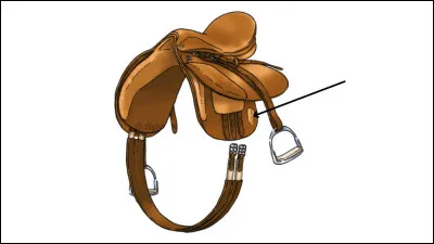 Quel est le nom de cette partie de la selle ?