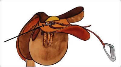 Quel est le nom de cette partie de la selle ?