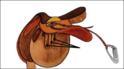 Quel est le nom de cette partie de la selle ?