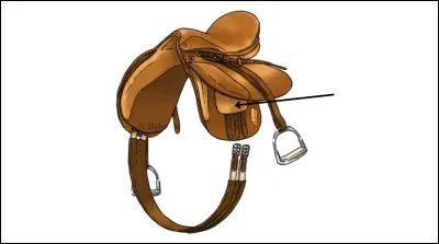 Quel est le nom de cette partie de la selle ?