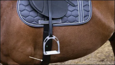 Quel est le nom de cette partie de la selle ?
