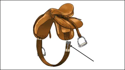 Quel est le nom de cette partie ?