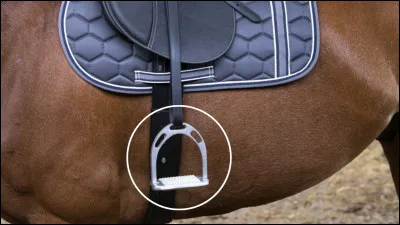 Quel est le nom de cette partie ?