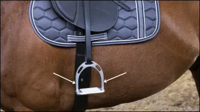 Quel est le nom de cette partie de l'étrier ?